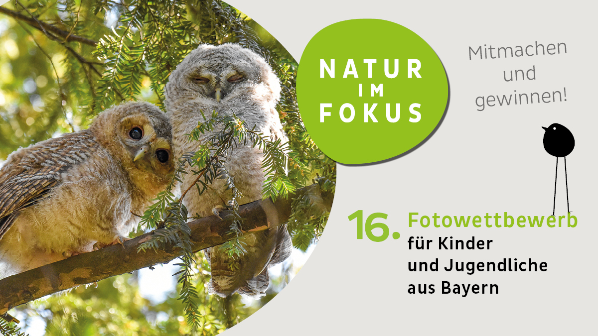 Bayer. Staatsministerium für Umwelt und Verbraucherschutz: Start des 16. Fotowettbewerbs „Natur im Fokus“ für Kinder und Jugendliche aus Bayern