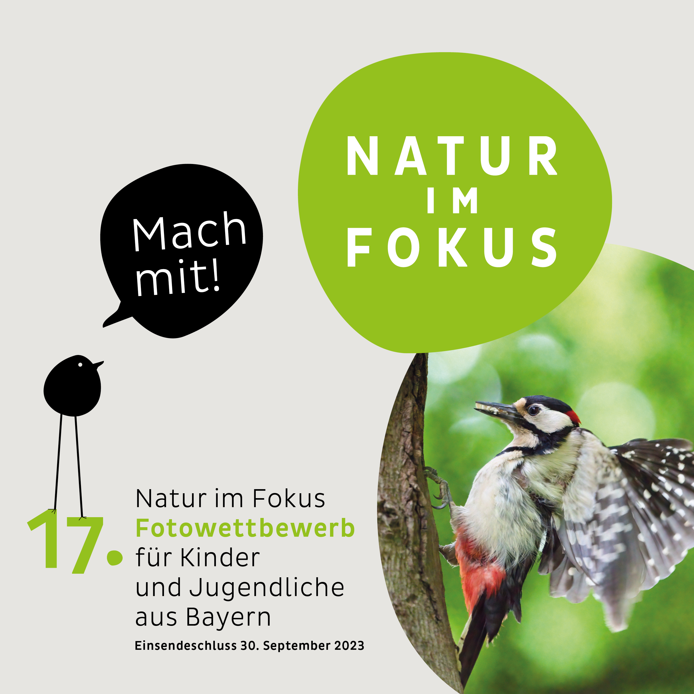 Auf geht’s: Start des 17. Fotowettbewerbs  - „Natur im Fokus“ für Kinder und Jugendliche aus Bayern