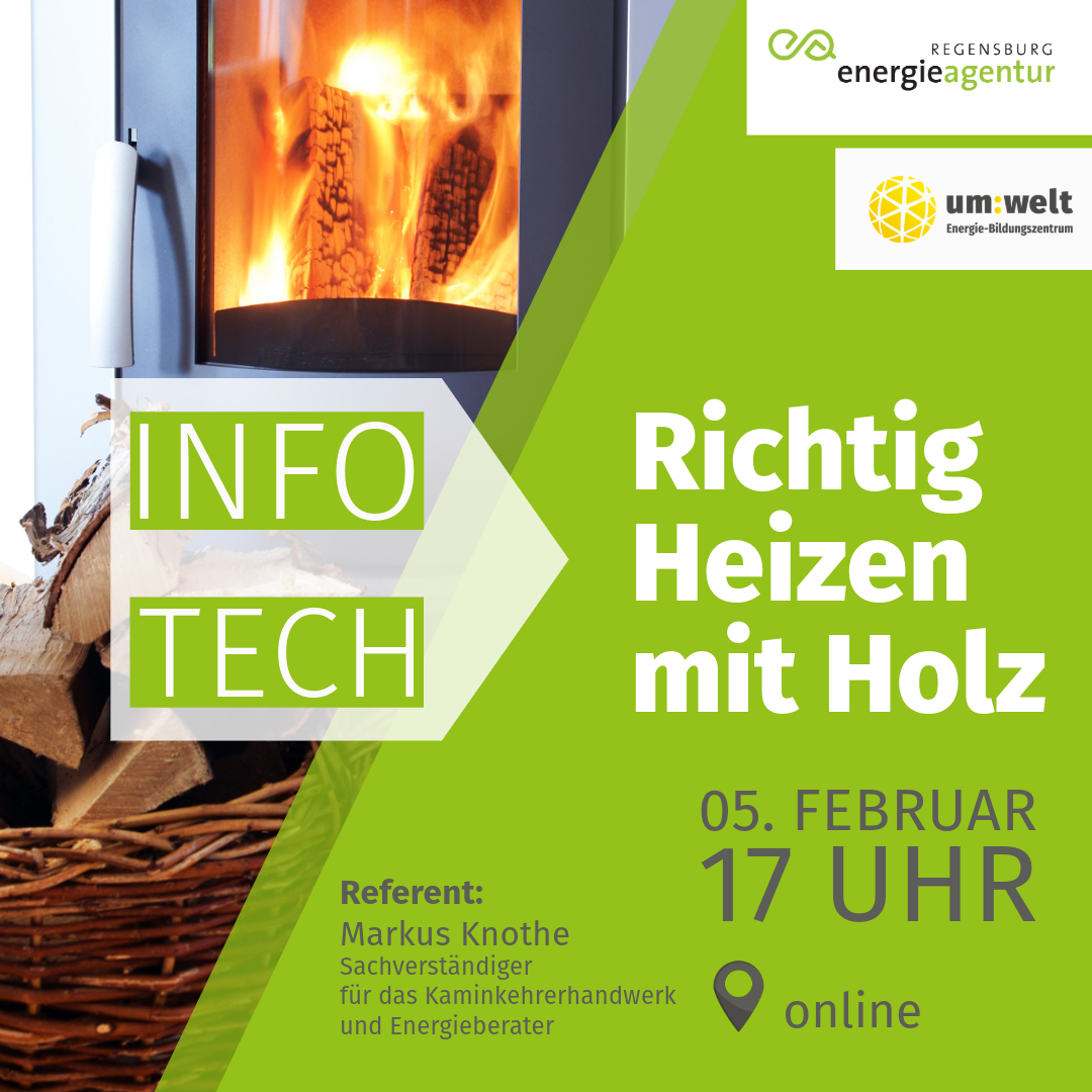 Onlinevortrag Richtig heizen mit Holz