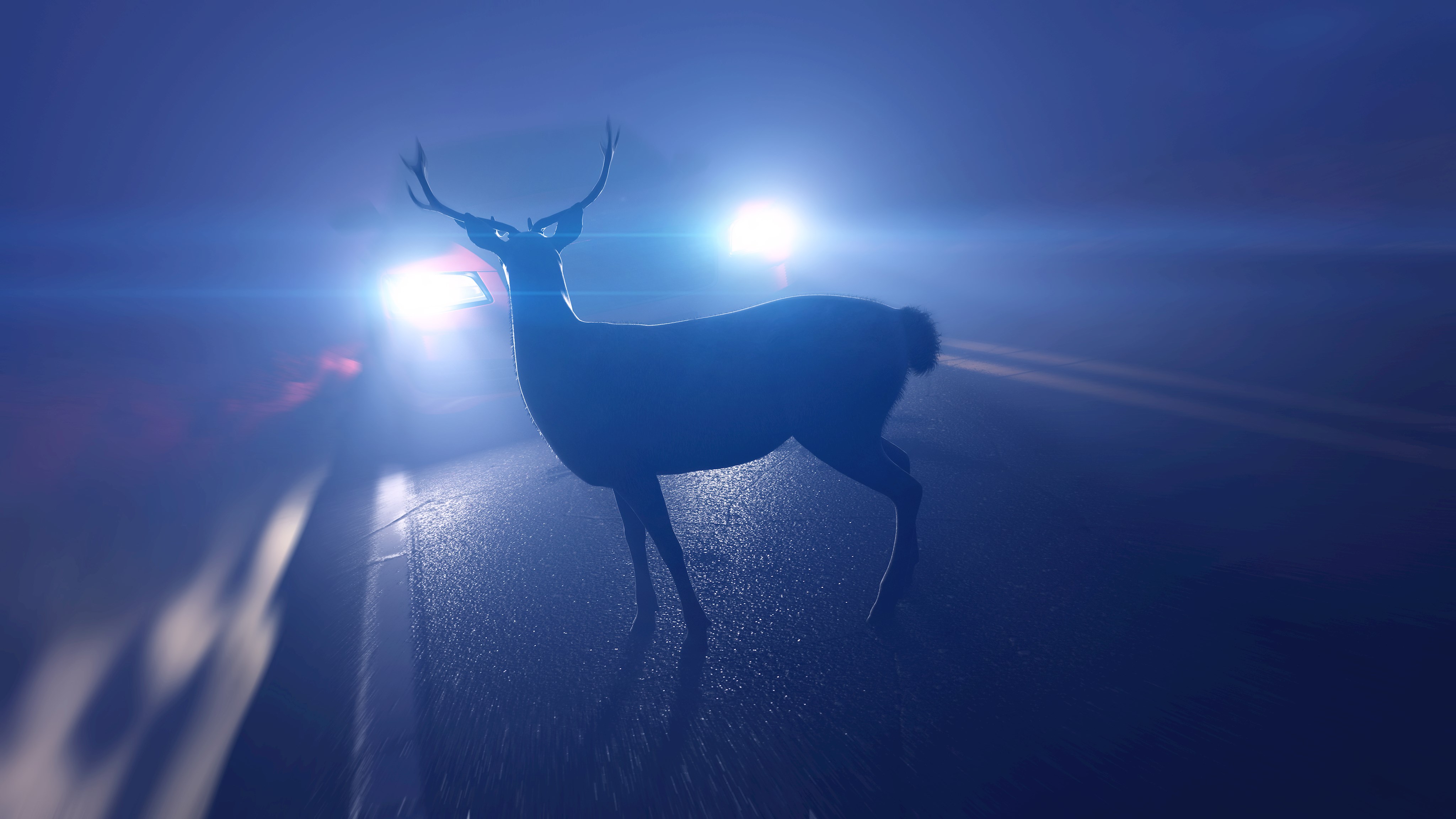 Vorsicht bei Wildwechsel im Herbst und Winter - Tipps des Verkehrssicherheitsbeauftragten